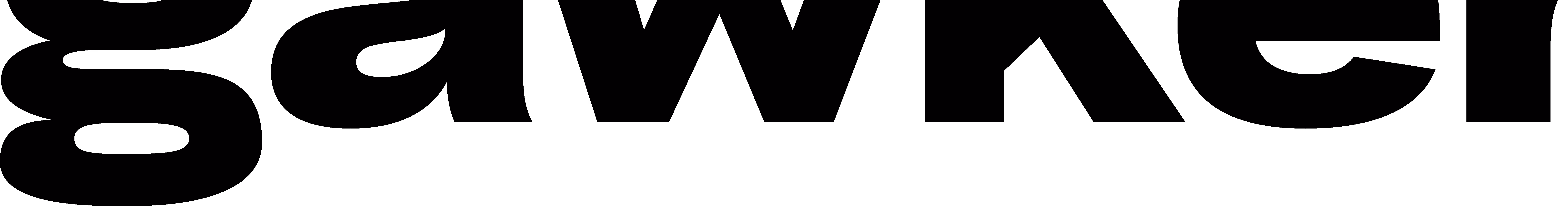 Gawker Branding + Site Design
